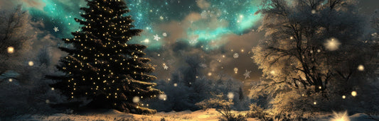 A Season of Reflection