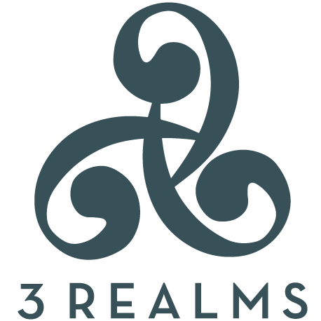 3Realms logo